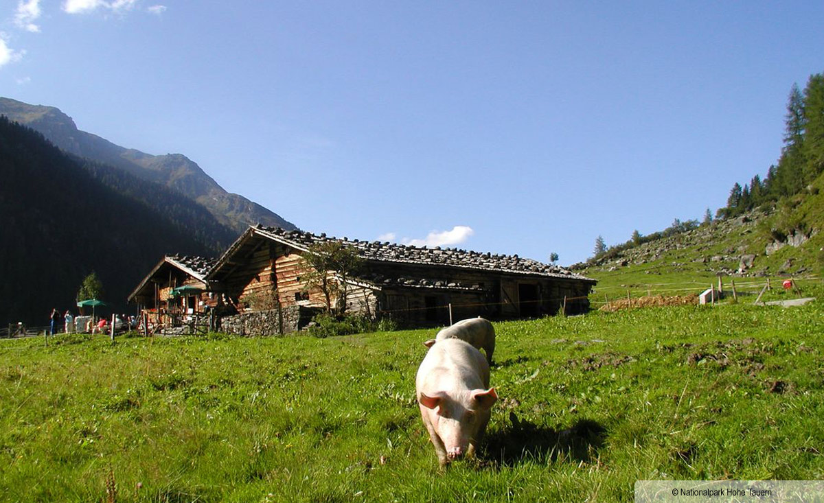 Nationalpark Hohe Tauern