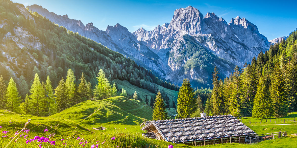 Urlaub auf der Alm