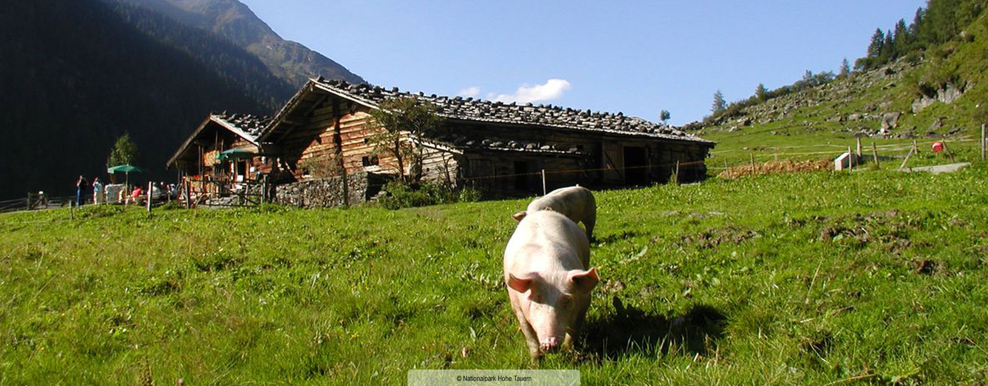 Almurlaub Hohe Tauern