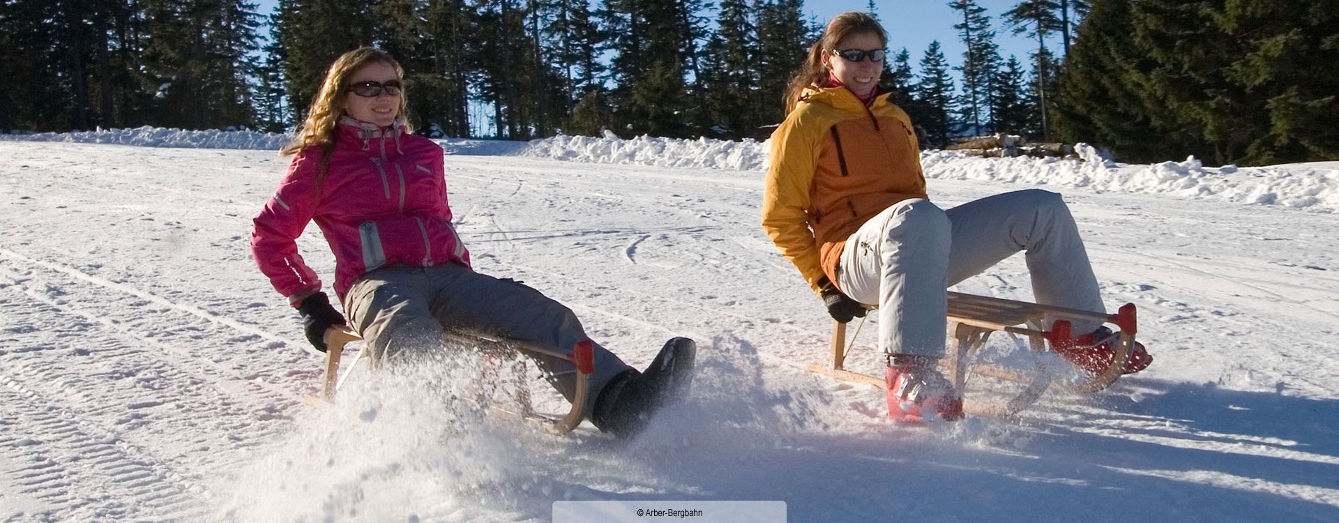 Rodelspass Bayerischer Wald